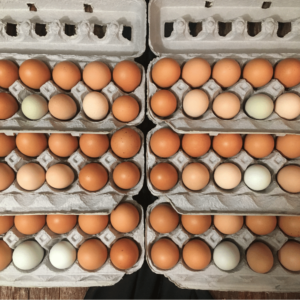 6 dozen eggs in cartons.