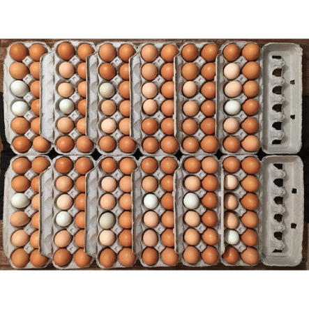 Aerial view of 12 dozen eggs in cartons.