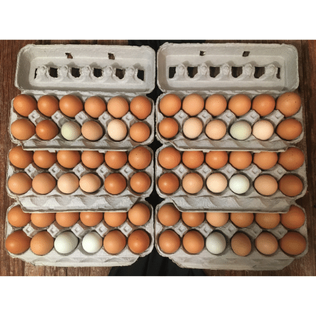 Aerial view of 6 dozen eggs in cartons.